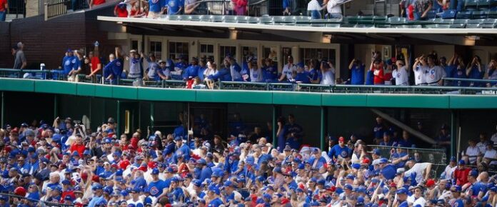 Cubs players celebrating at home plate after a home run.